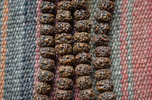 rudraksha beads detail